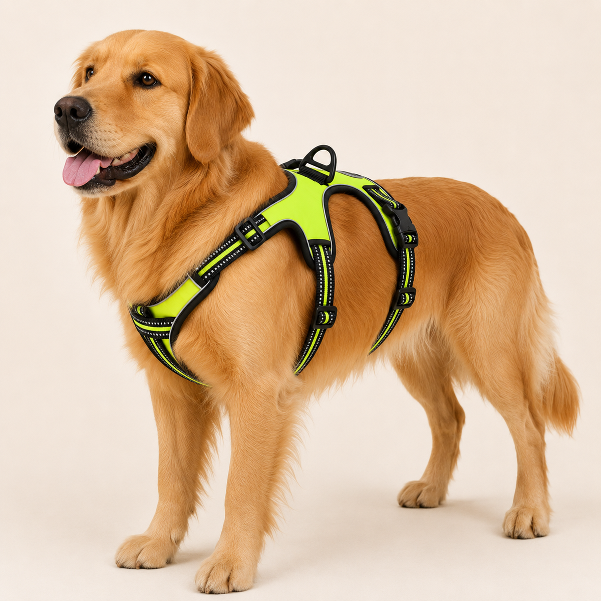 Dog Harness - Adjustable Vest Harness for Walking - TillyPaw