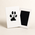 Paw Print Ink Pad Kit – Mess-Free Keepsake for Dogs & Cats - TillyPaw