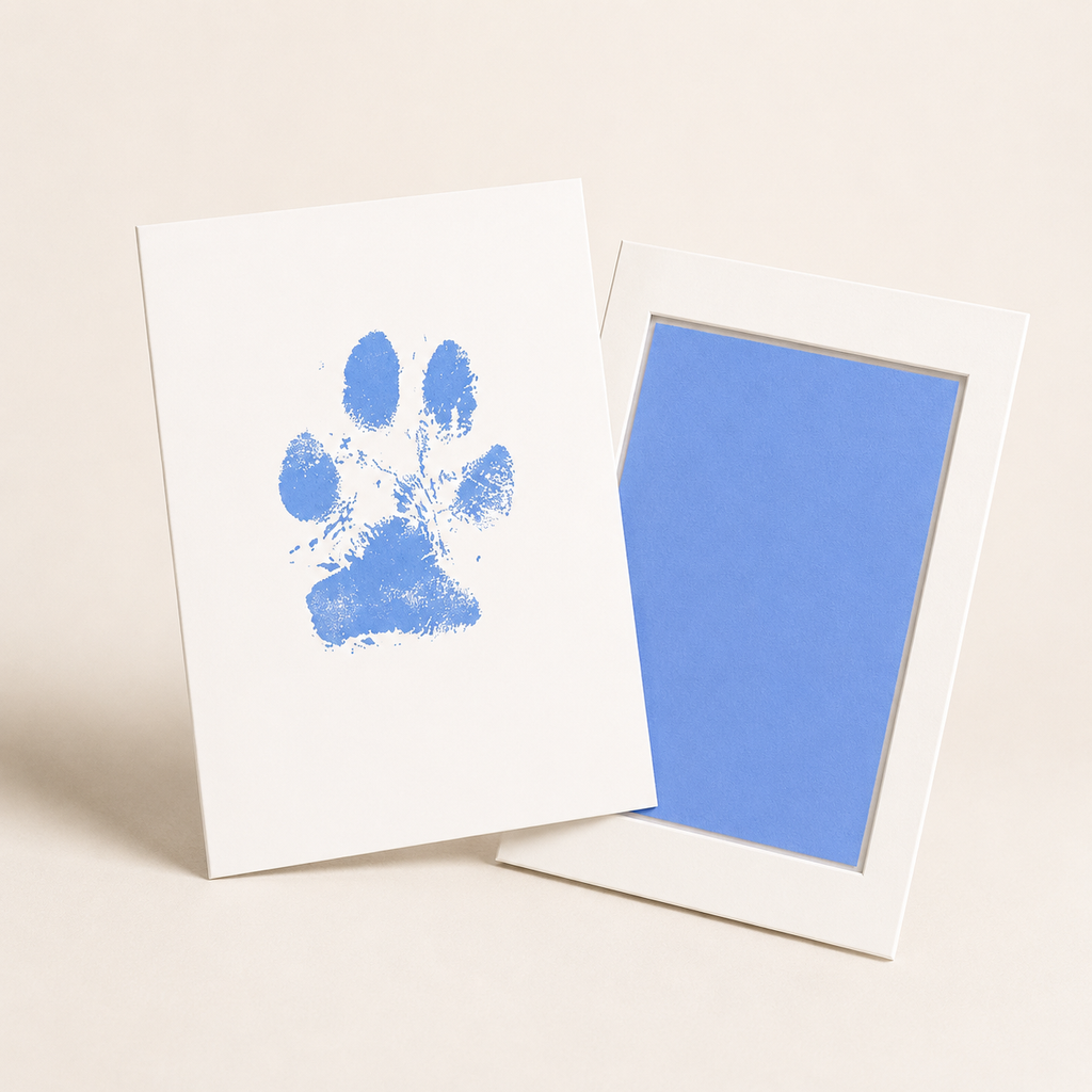 Paw Print Ink Pad Kit – Mess-Free Keepsake for Dogs & Cats - TillyPaw