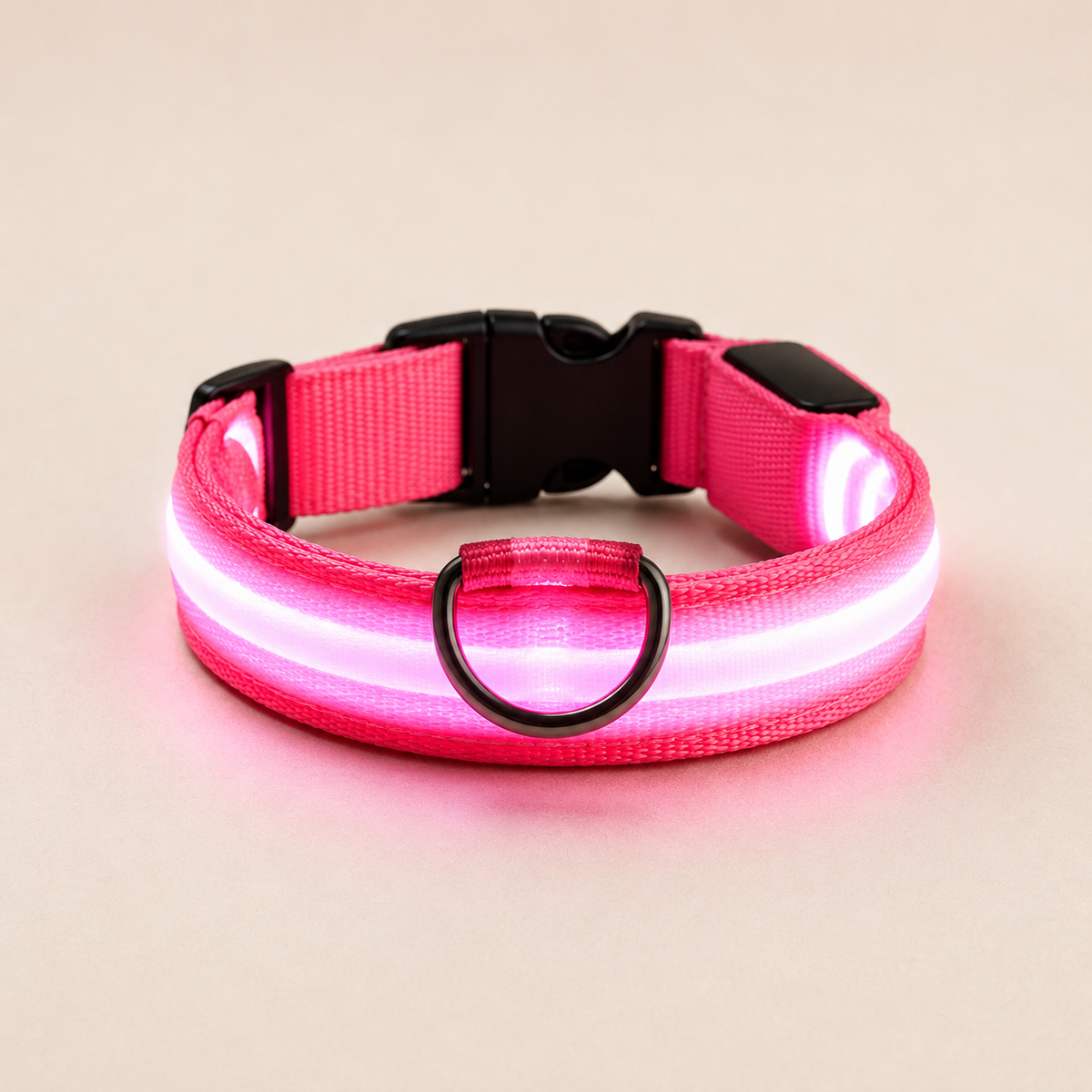 LED Dog Collar – Light Up Nylon Collar for Night Safety - TillyPaw