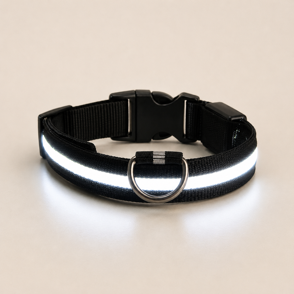 LED Dog Collar – Light Up Nylon Collar for Night Safety - TillyPaw