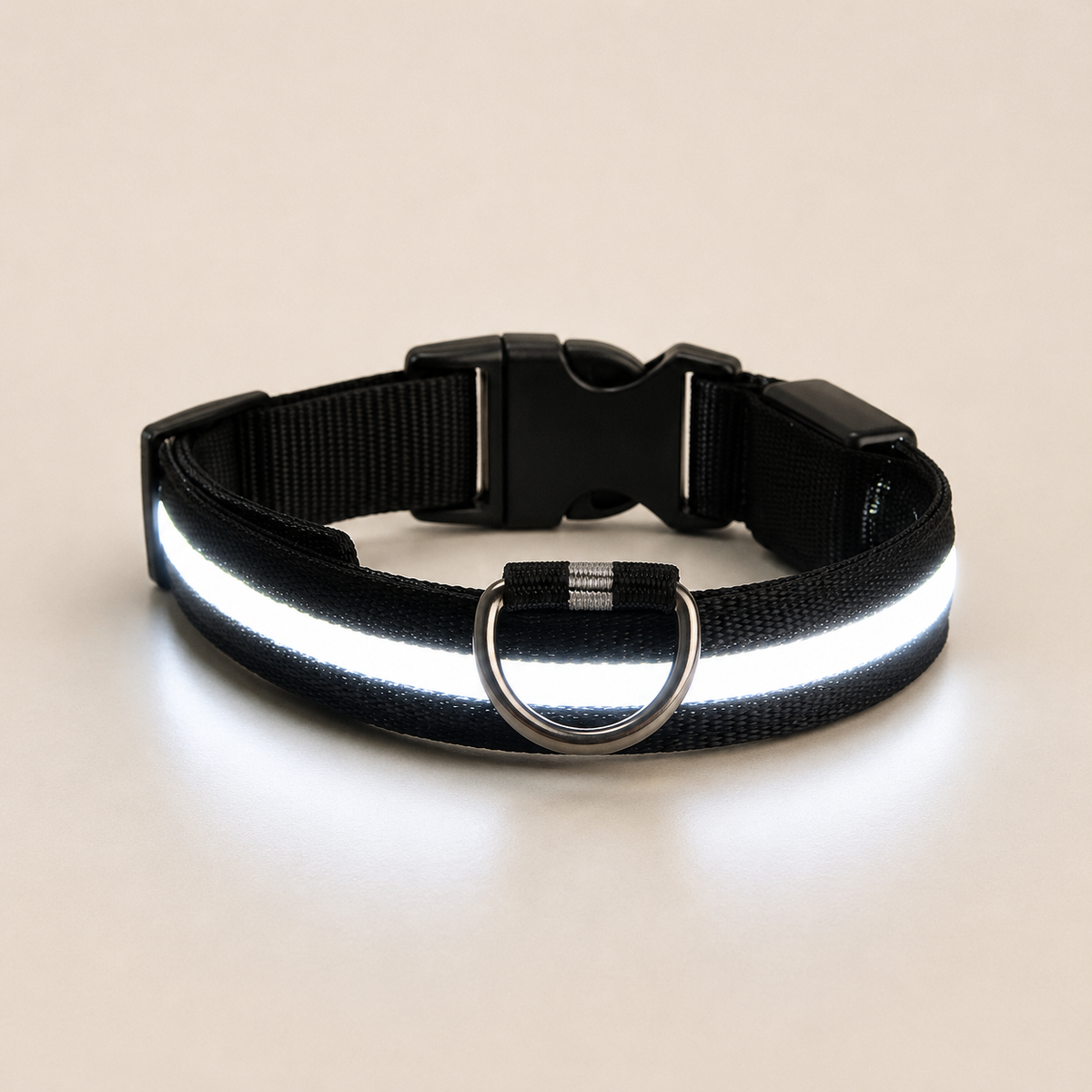 LED Dog Collar – Light Up Nylon Collar for Night Safety - TillyPaw