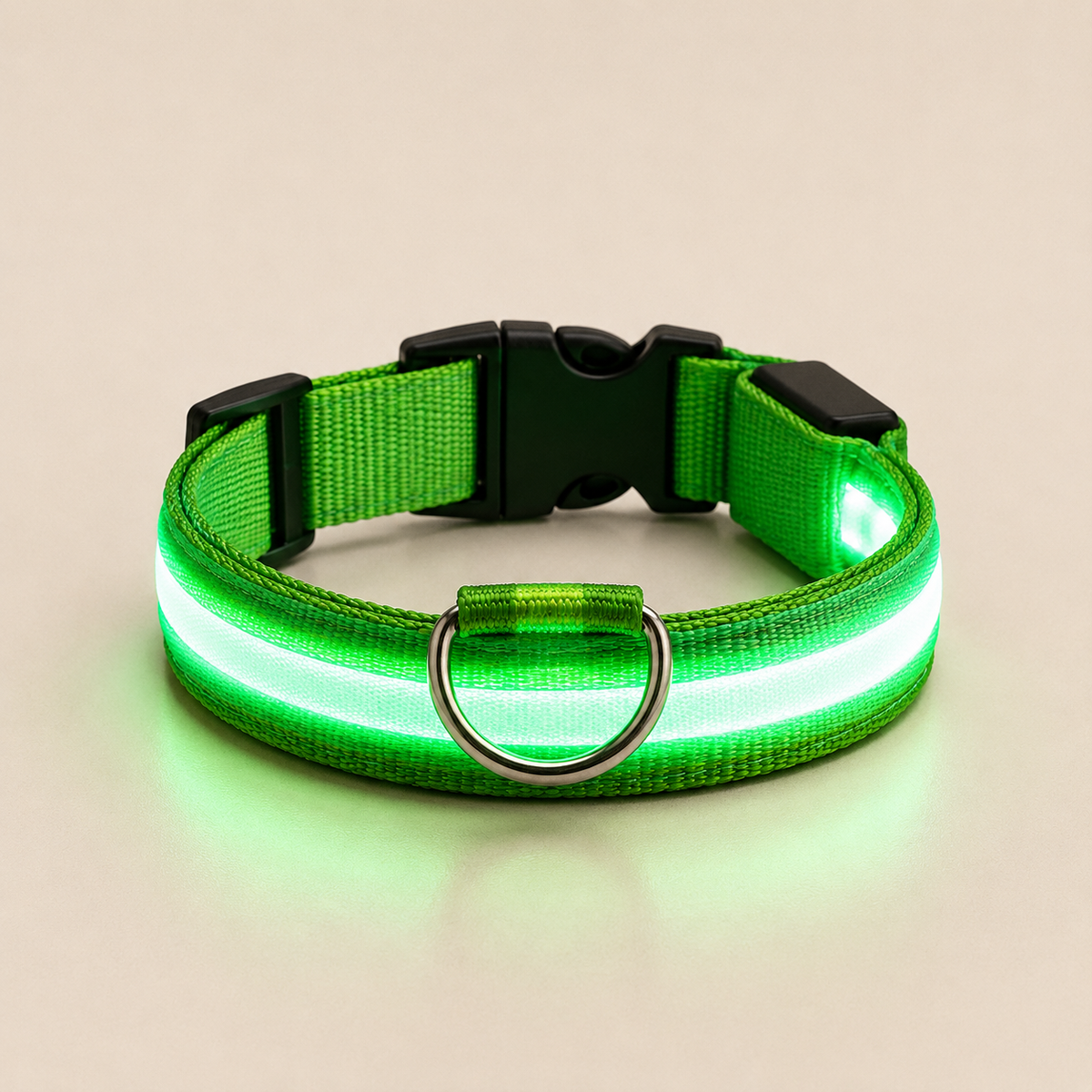 LED Dog Collar – Light Up Nylon Collar for Night Safety - TillyPaw