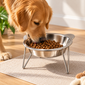Slanted Steel Pet Bowl – Tilted Feeder for Dogs and Cats - TillyPaw