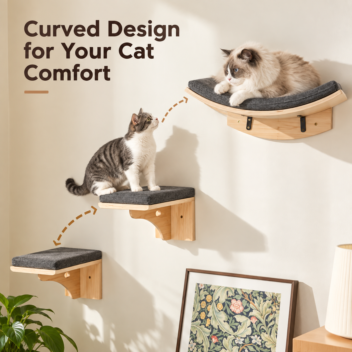 Wall-Mounted Cat Shelves & Steps – 3-Piece Wooden Set - TillyPaw