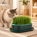 Cat Grass Grow Box – Soil-Free Hydroponic Planter - TillyPaw