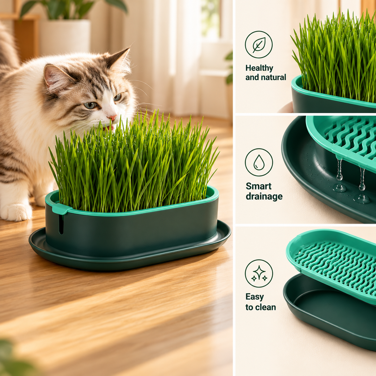 Cat Grass Grow Box – Soil-Free Hydroponic Planter - TillyPaw