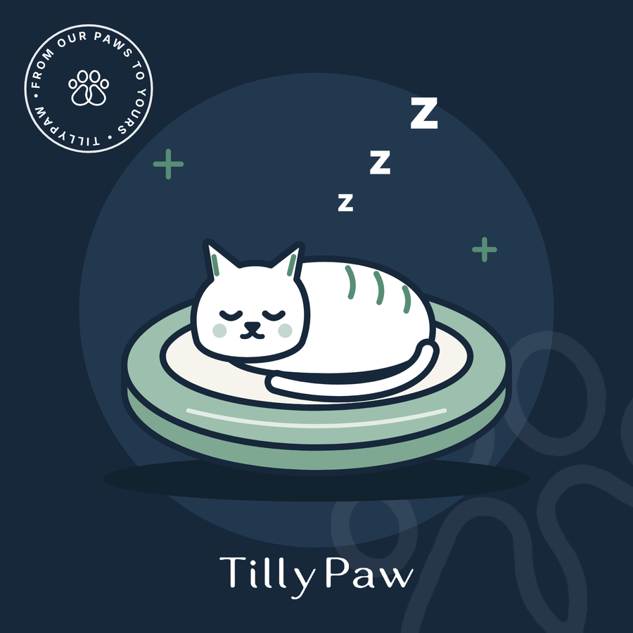 TillyPaw cat asleep in a cosy bed