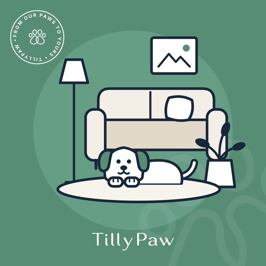 TillyPaw dog relaxing in a stylish living room