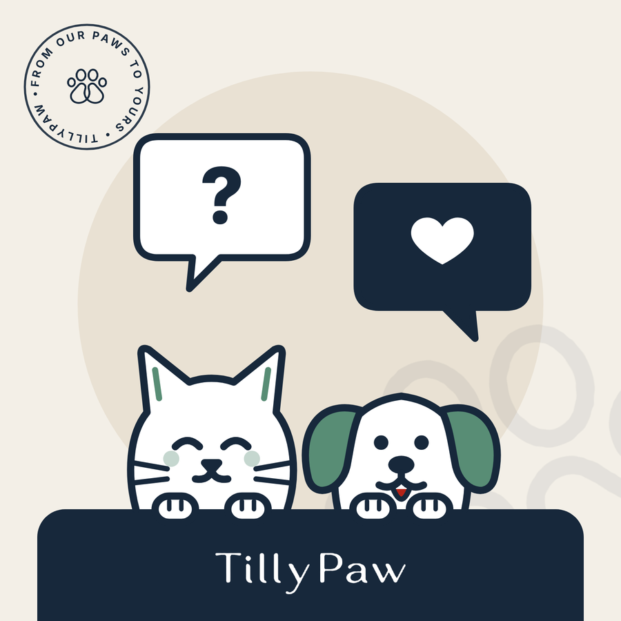 TillyPaw cat and dog with a question and a heart reply